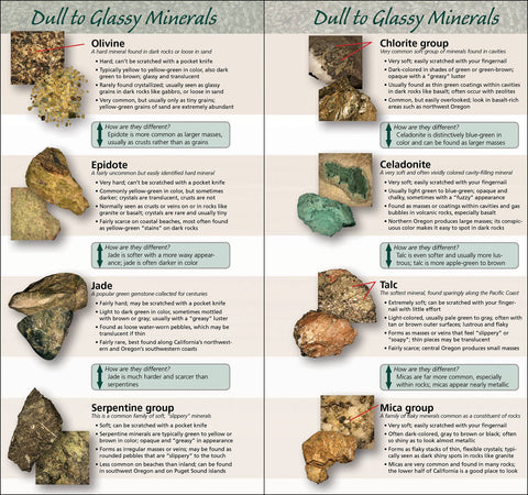 Book (Paperback) - Rocks & Minerals of Pacific Coast Quick Guide