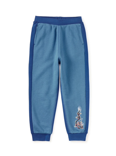 Colorblock Joggers - Dragon Galactic Blue