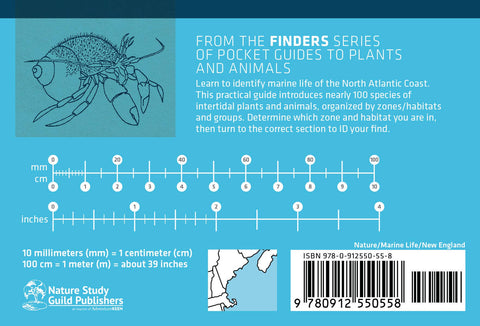 Book (Paperback) - Life on Intertidal Rocks 2nd Edition