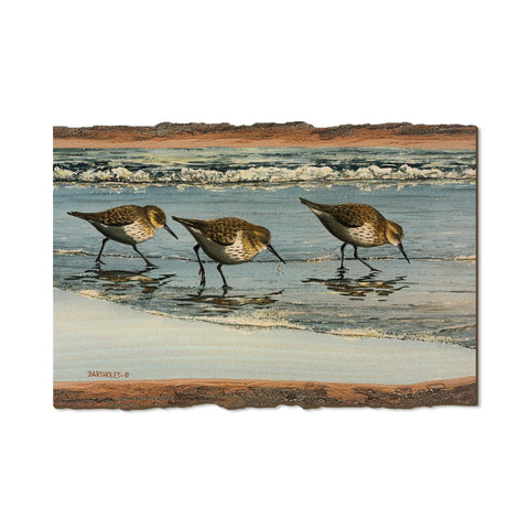 Wood Postcard - Live Edge Bartholet's Beach Breakfast