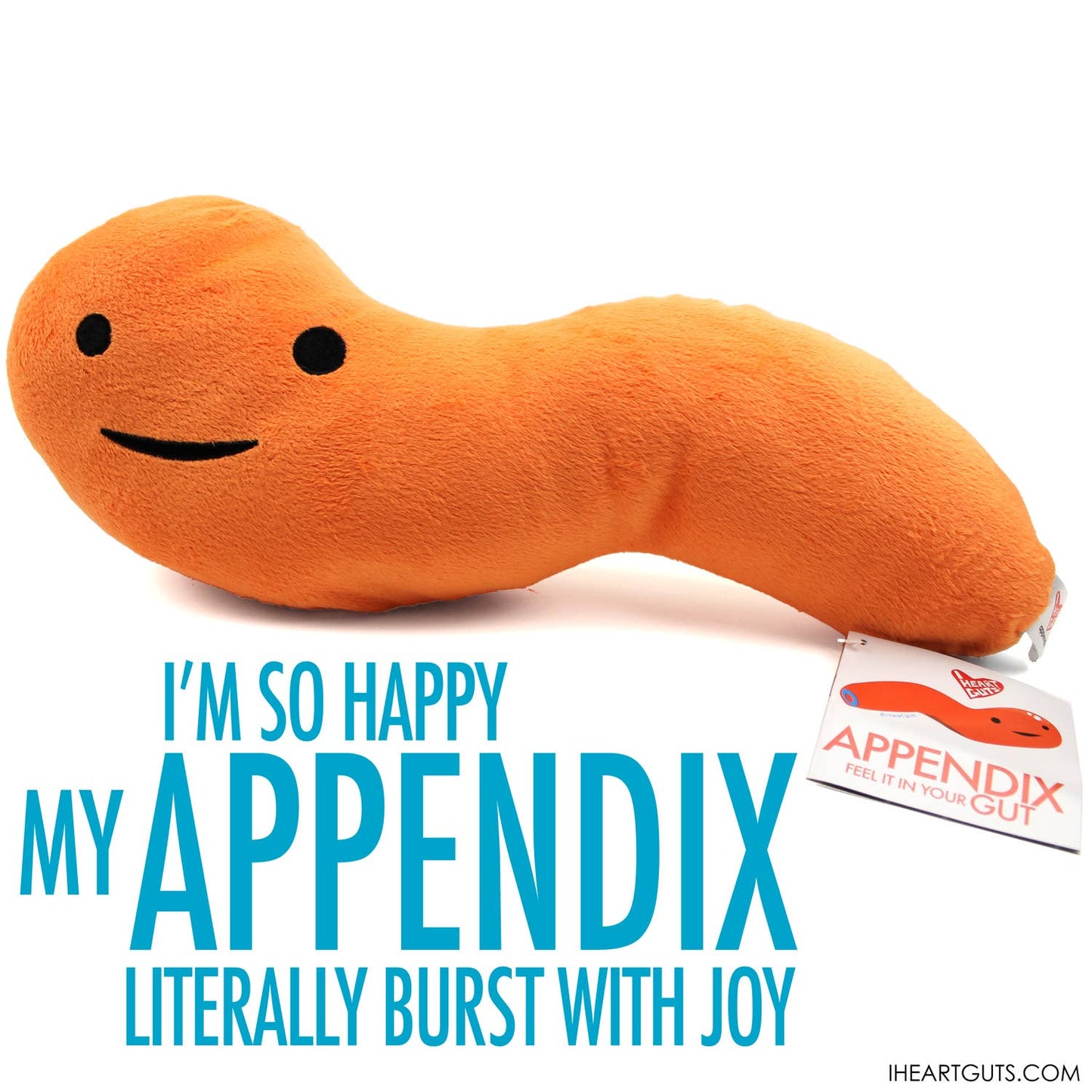 Stuffed Animal - Appendix: Feel it in Your Gut