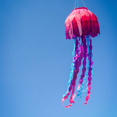 Windsock - Jellyfish Big Breeze