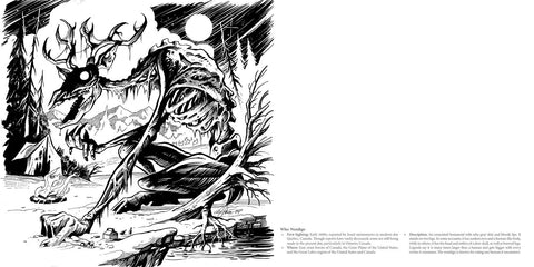 Cryptid Creatures Coloring Book by: Paperback; 64 pages / English