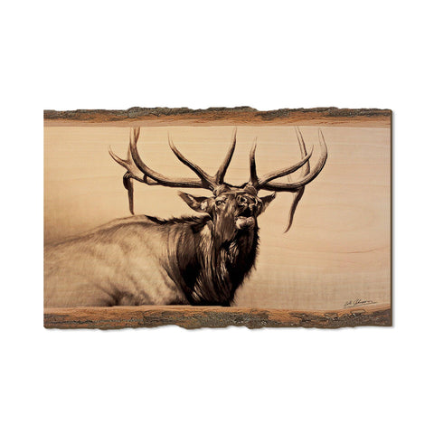 Wood Postcard - Live Edge Johnson's Herd Bull