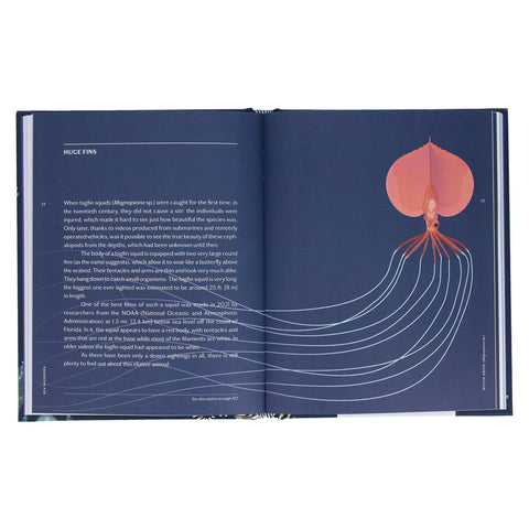 Book (Hardcover) - Sea Wonders