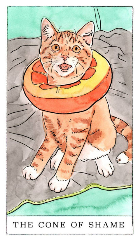 Card Deck - Kitten Oracle