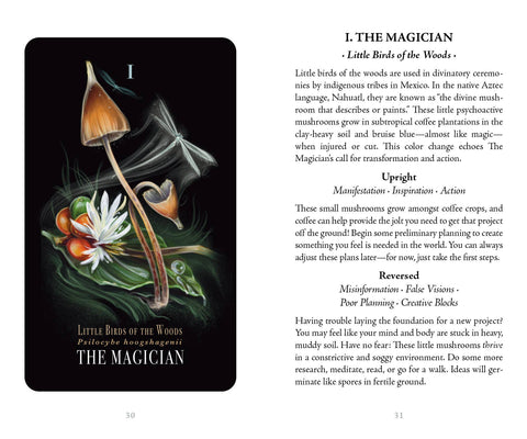 Midnight Magic by Sara Richard: Flashcards; 78 pages / English