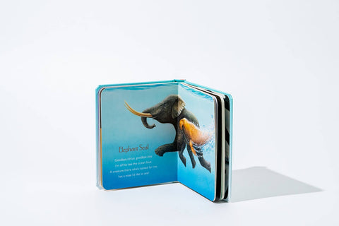 Board Book - You Stole My Name Board Book (Travel Size)
