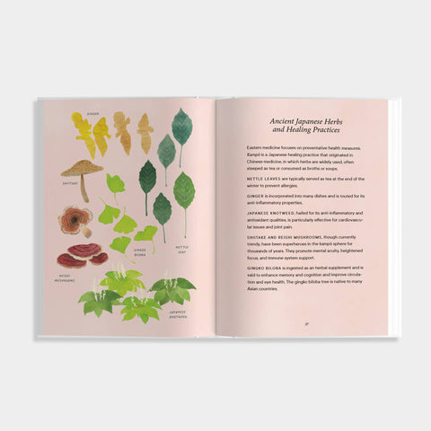 Book (Hardcover) - Shibui: Embracing the Beauty of Aging