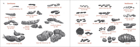 Book (Paperback) - Pacific Coast Mammal Finder 2nd Ed