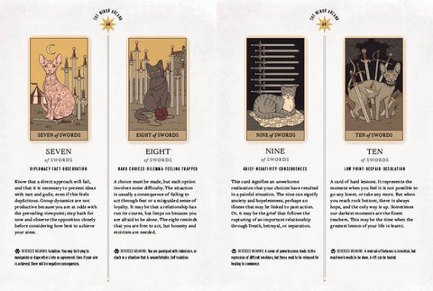 Tarot Cards - Cats Rule the Earth