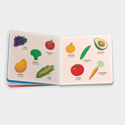 Board Book - My Big Bilingual Book of First Words (English & Spanish)