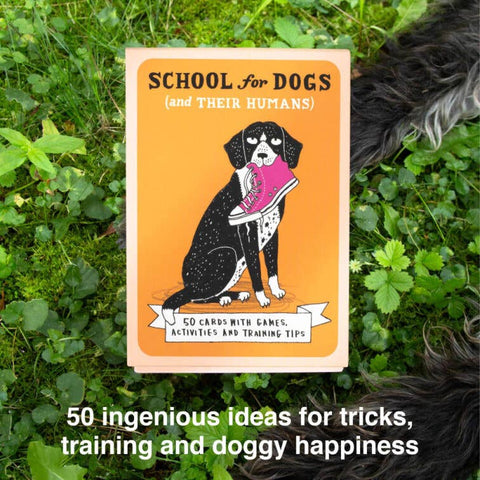 Card Deck - School for Dogs (and Their Humans)