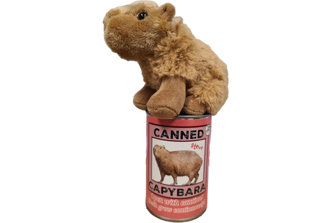 Stuffed Animal - Steve the Canned Capybara (Standard Lid)