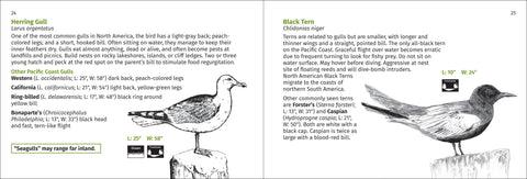 Book (Paperback) - Pacific Coast Bird Finder