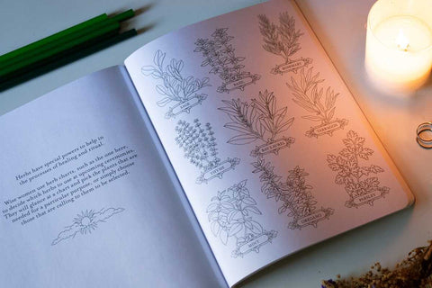 Coloring Book (Paperback) - Believe in Magic