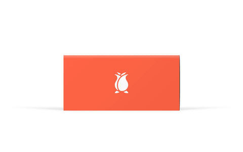 Toy Car - Rosebud Camper