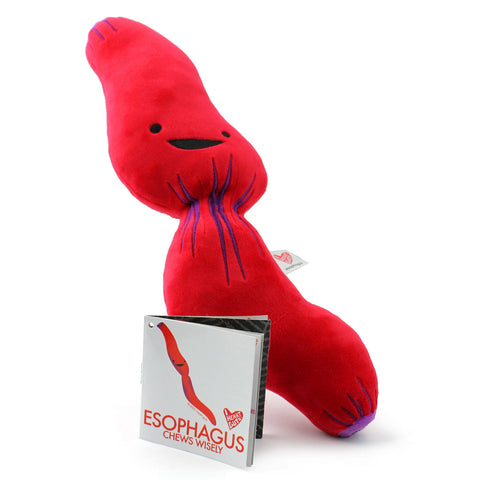Stuffed Animal - Esophagus