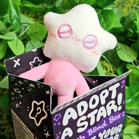 Blind Box - Adopt a Star Baby Plush