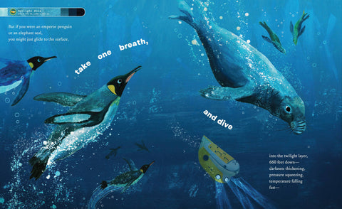 Book (Hardcover) - If You Went to the Bottom of the Ocean