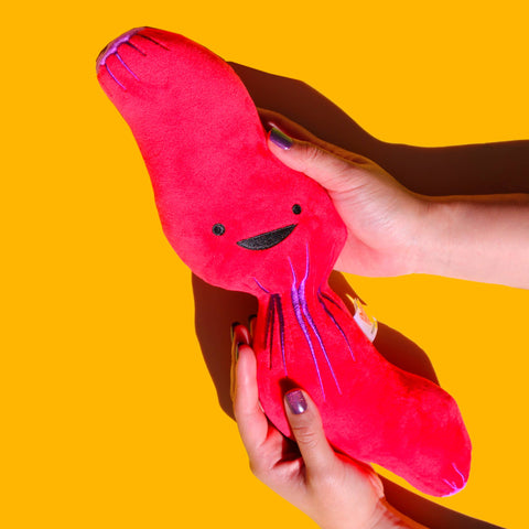 Stuffed Animal - Esophagus