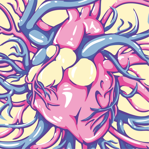 Crew Socks - Aortic Entanglement