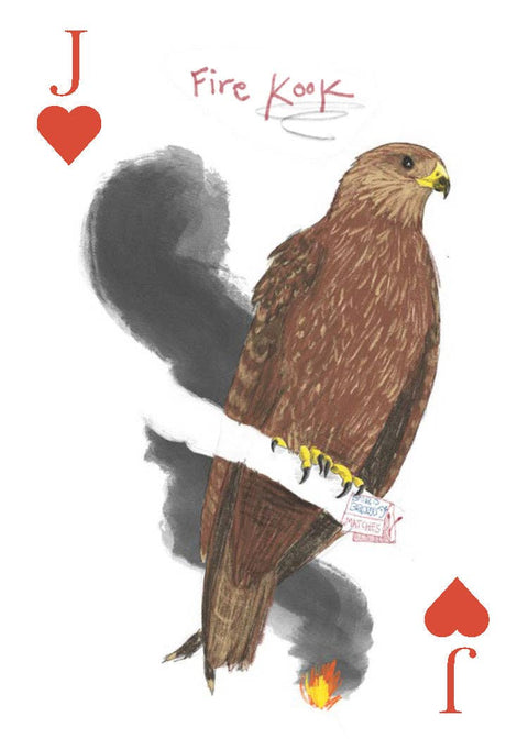 Playing Cards - Field Guide to Dumb Birds
