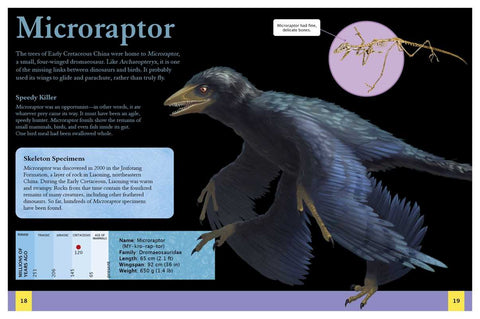 Book (Paperback) - Ultimate Dinosaur Encyclopedia by Clare Hibbert