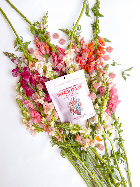 Mushroom Gummies - Elevate