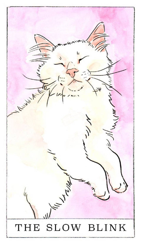 Card Deck - Kitten Oracle