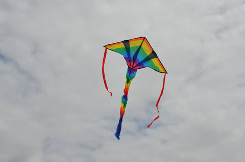 Kite - Rainbow Arrow Fly-Hi