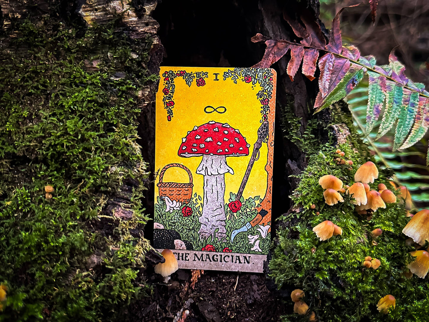 Tarot Cards - The Mushroom Hunter's Arcanum