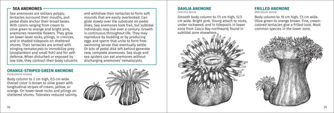 Book (Paperback) - Life on Intertidal Rocks 2nd Edition