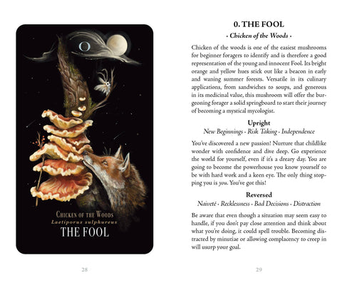 Midnight Magic by Sara Richard: Flashcards; 78 pages / English