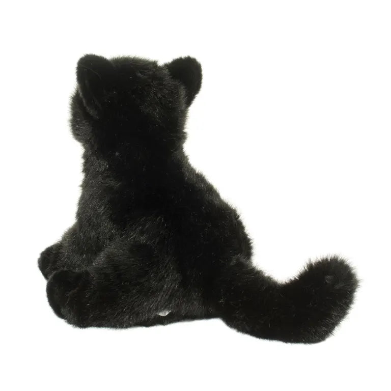 Stuffed Animal - Salem Black Cat