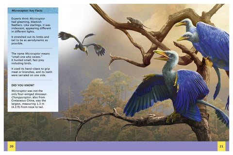 Book (Paperback) - Ultimate Dinosaur Encyclopedia by Clare Hibbert