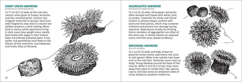 Book (Paperback) - Pacific Intertidal Life 2nd Edition