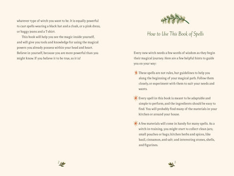 Book (Hardcover) - The Little Witch's Book of Spells