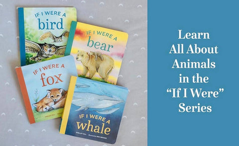 Board Book - If I Were a Bird