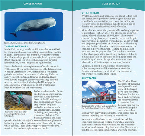 Book (Paperback) - Whale-Watching on the Pacific Coast Quick Guide