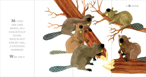 Book (Hardcover) - Whose Tail?