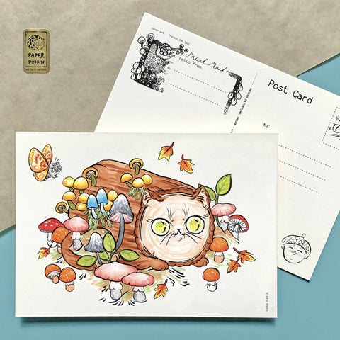 Postcard - Forest Log Cat