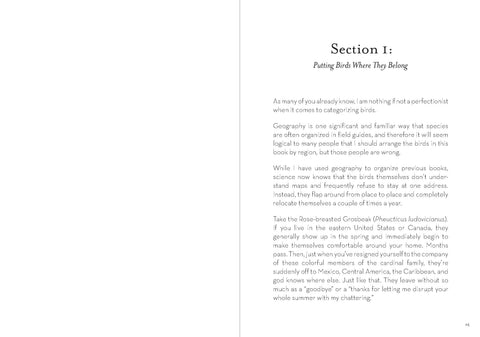Book (Paperback) - Dumb Birds Field Guide to the Worst Birds Ever