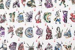 Playing Cards - Tattoo