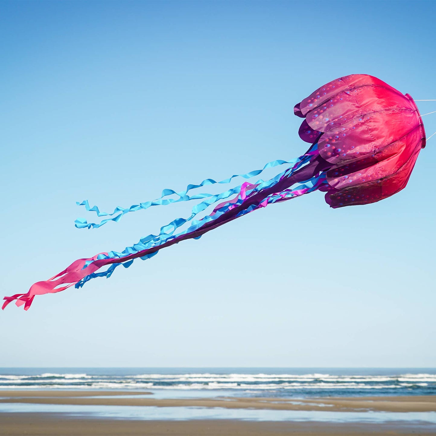 Windsock - Jellyfish Big Breeze