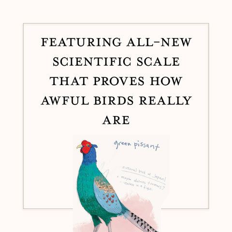 Book (Paperback) - Dumb Birds Field Guide to the Worst Birds Ever