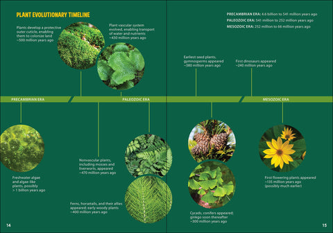 Book (Paperback) - Pollinators & Native Plants for Kids