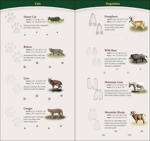 Book (Paperback) - Animal Tracks of Northwest Quick Guide