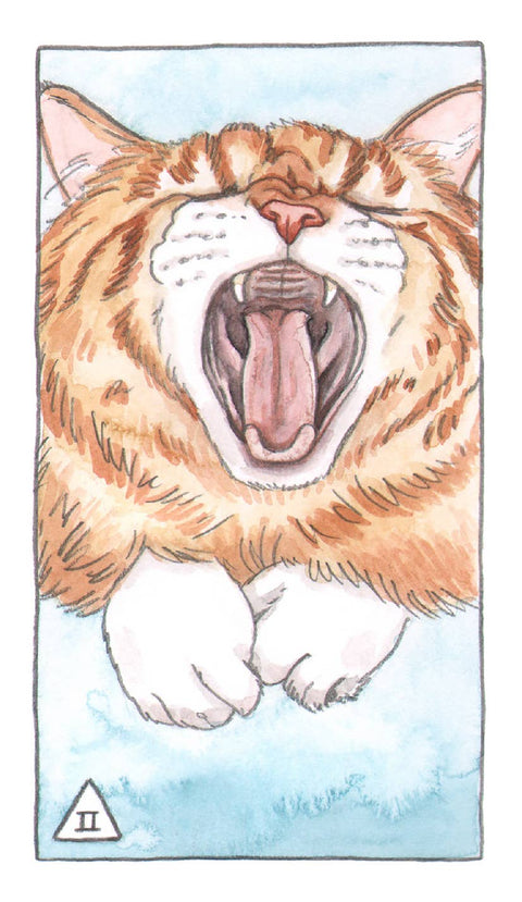 Tarot Cards - Cat Tarot