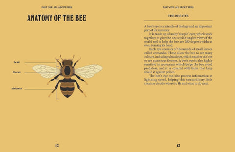 Book (Hardcover) - Bees